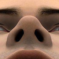 Ideal nose - view from below