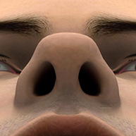 Boxy tip - nose surgery - view from below