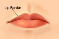 Diagram defining lip border