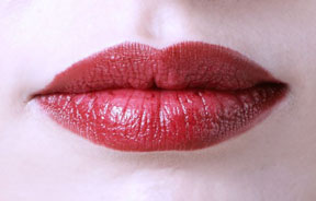 Full, ideal female lips